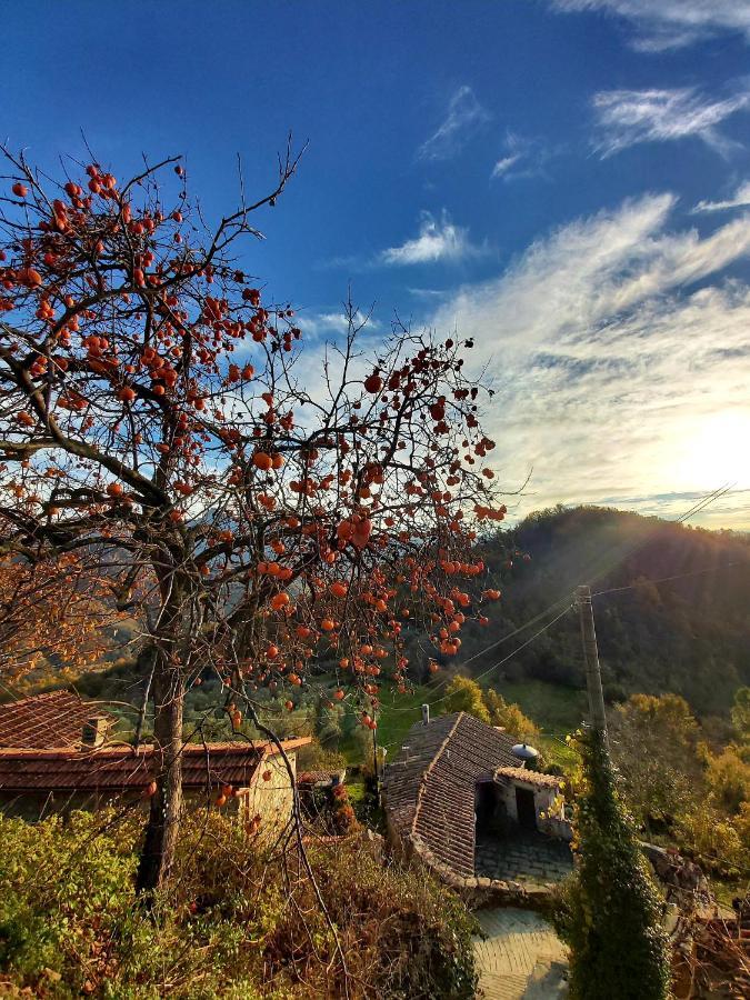 Il Convento Di Casola Casola in Lunigiana Екстериор снимка